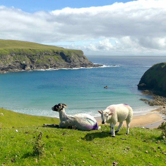 County Donegal: A Timeless Landscape for Your Walls