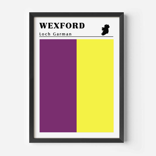 Wexford Flag print black frame